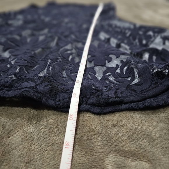 SALLY MILLER Victorian Vibes Dress Silky Silver Lining Deep Blue Sheer Velvet - Picture 16 of 17